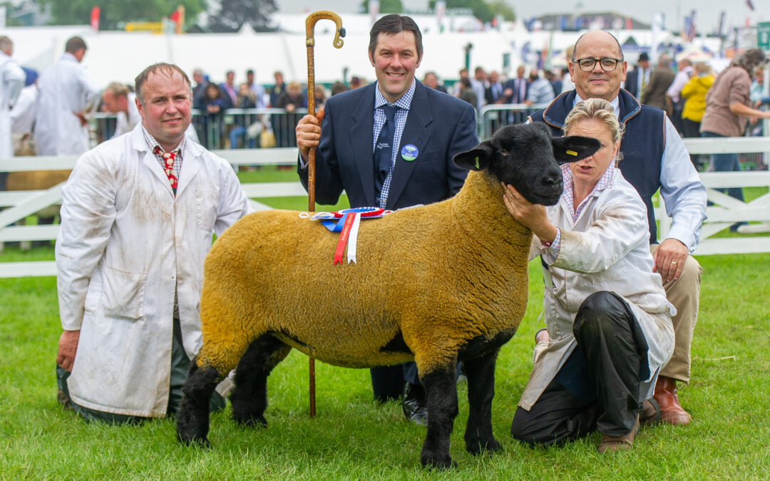 Great Yorkshire Show – 2019