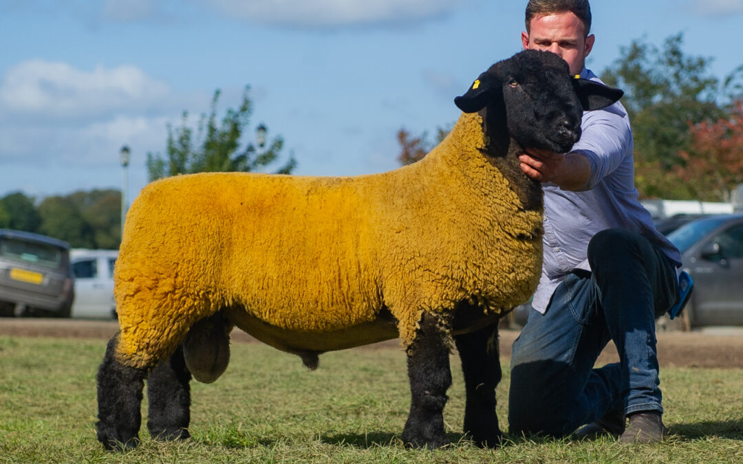 Kelso Show and Sale – 2019