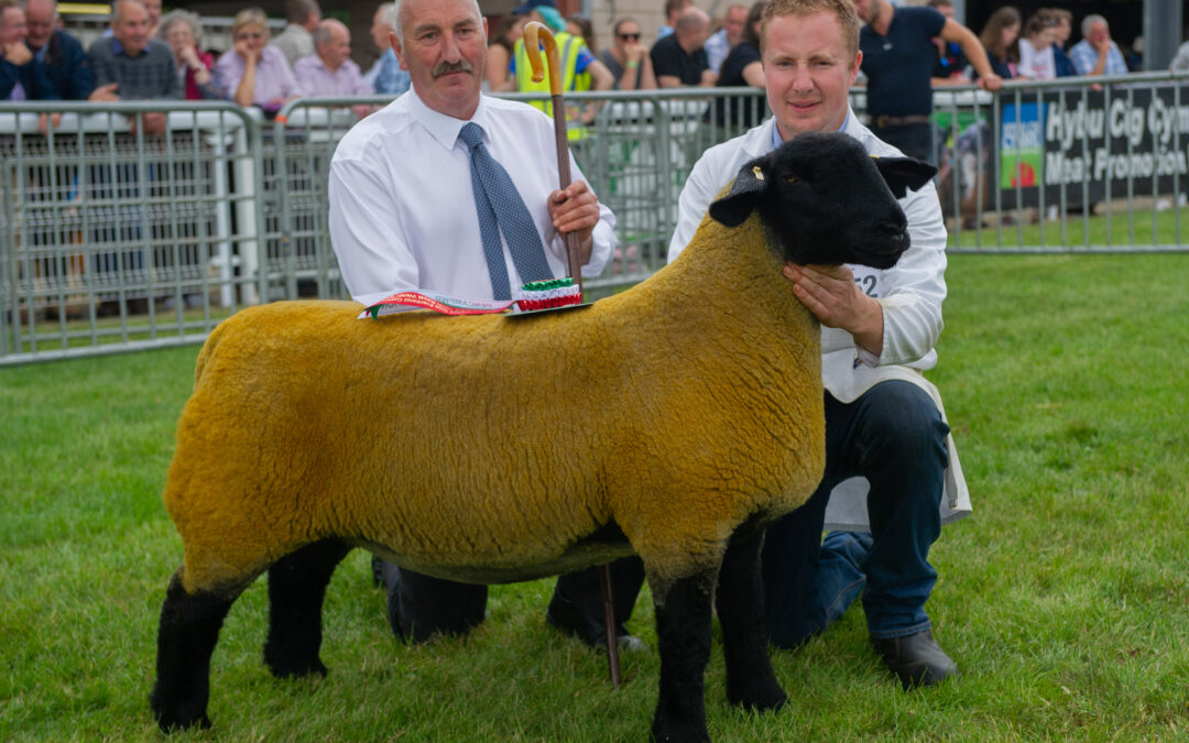 Royal Welsh Show – 2019