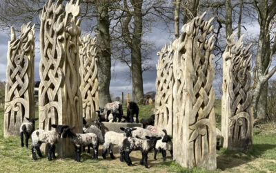GOOD SKINNED, FAST GROWING SUFFOLK-X LAMBS