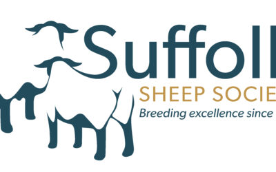 Suffolk Sheep Society Looking for new Chief Exec