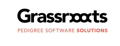 The Grassroots Journey