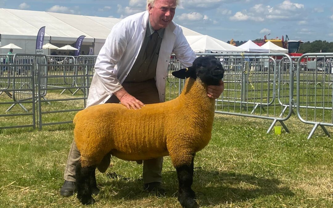 The Royal Cheshire Show 2022