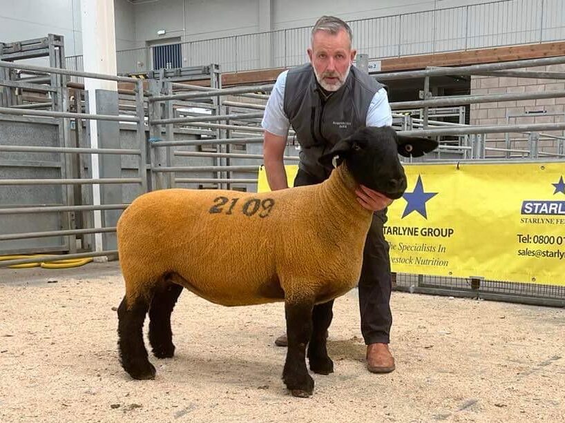 West and Central Scotland Suffolk Sheep Club results