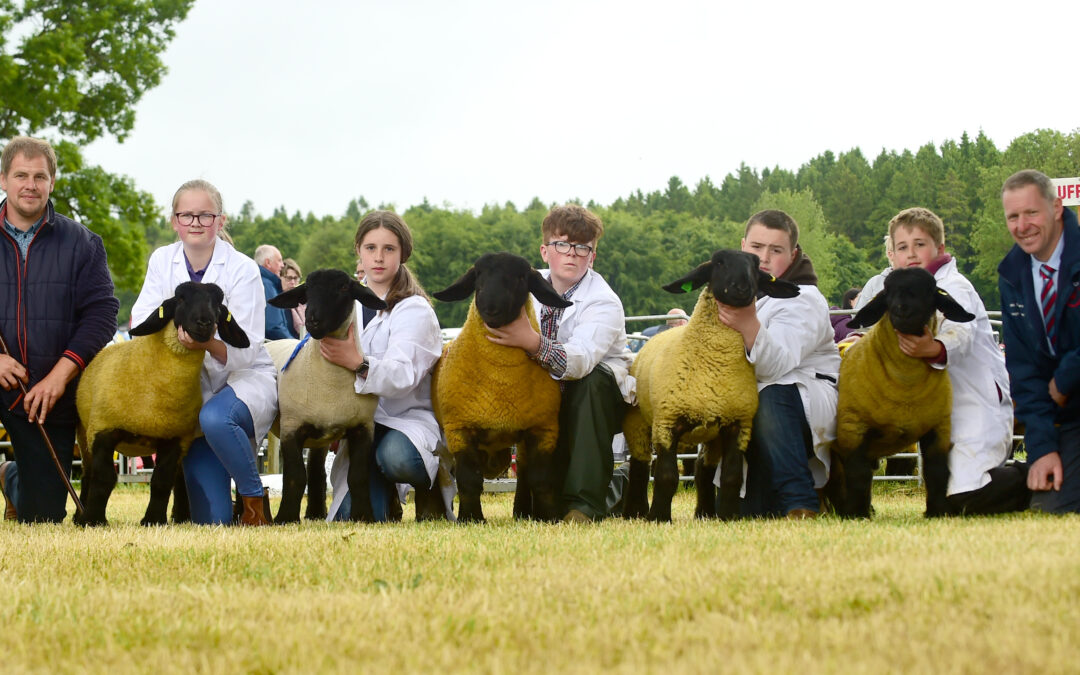 NI Suffolk Branch- Armagh Show, Young Handler Results