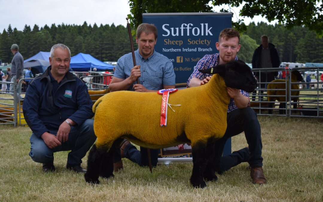 Northern Ireland Suffolk Branch – Armagh Show