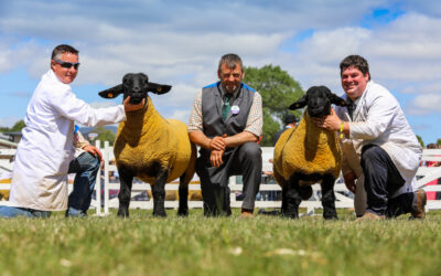 Great Yorkshire Show –  2022