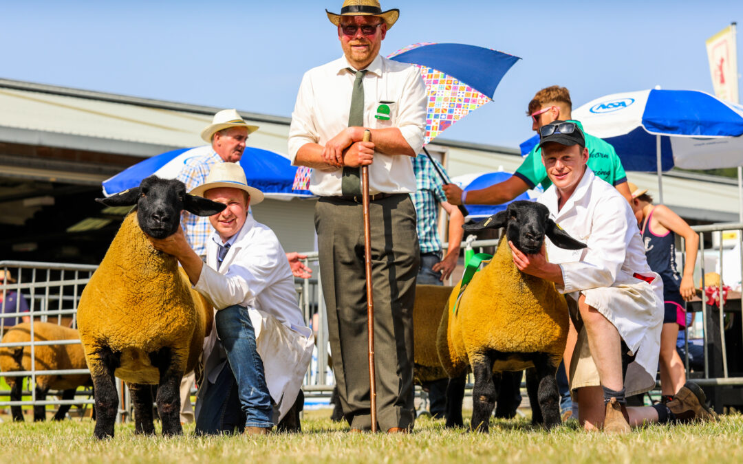 Royal Welsh Agricultural Show –  2022