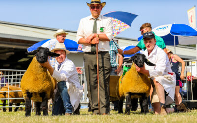 Royal Welsh Agricultural Show –  2022