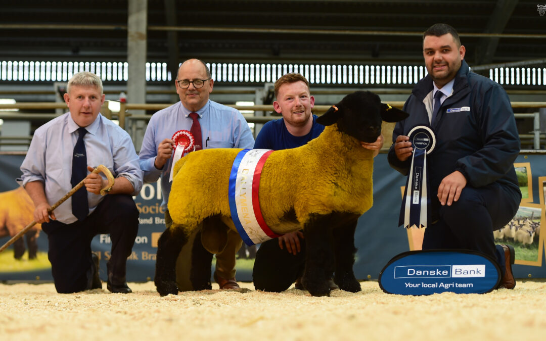 Northern Ireland Branch Premier Export Show and Sale – Ballymena 2022