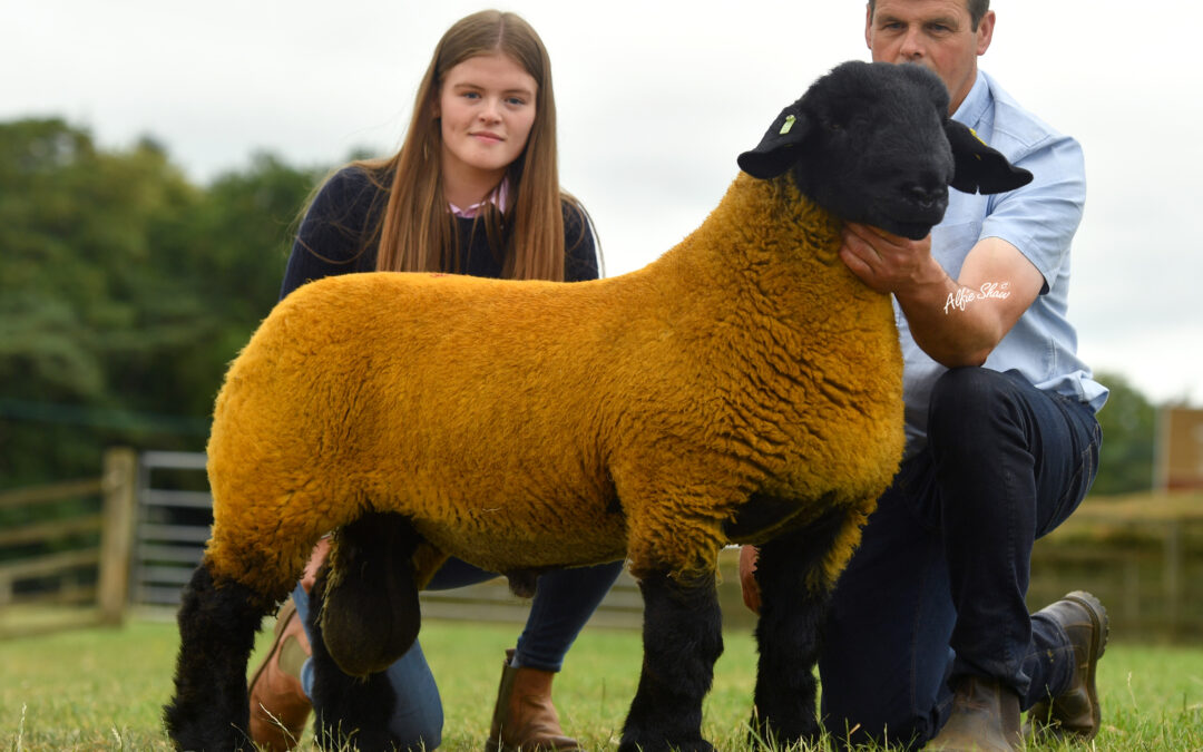 Scottish Area Branch Show and Sale – Lanark 2022