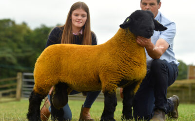 Scottish Area Branch Show and Sale – Lanark 2022