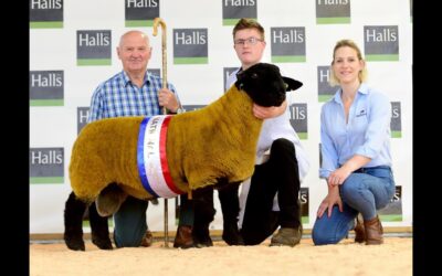 National Show & Sale – Shrewsbury 2022