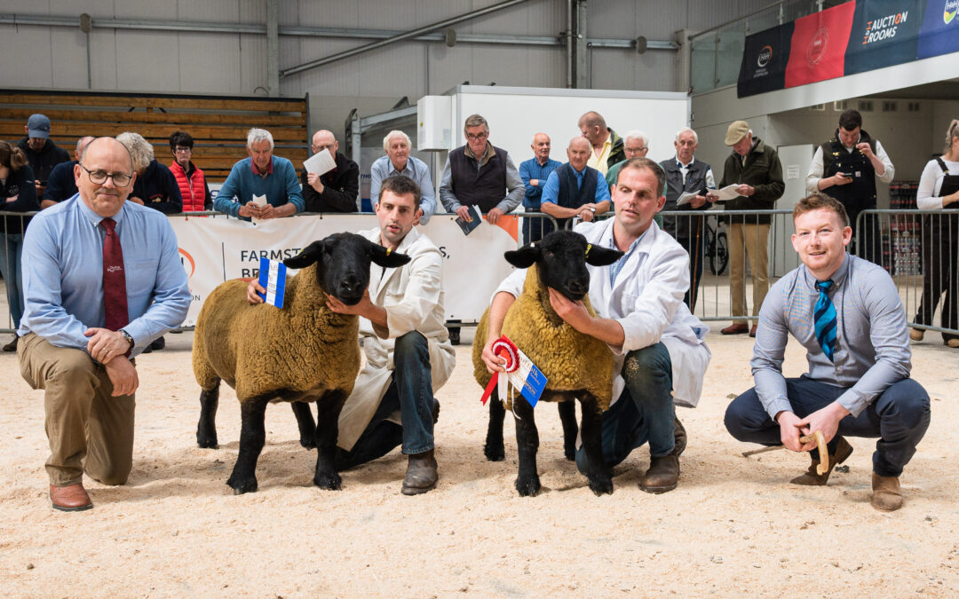 Northern Counties of England Show & Sale – Carlisle 2022