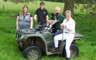 Raggiewhaite Farm consistency with Suffolks