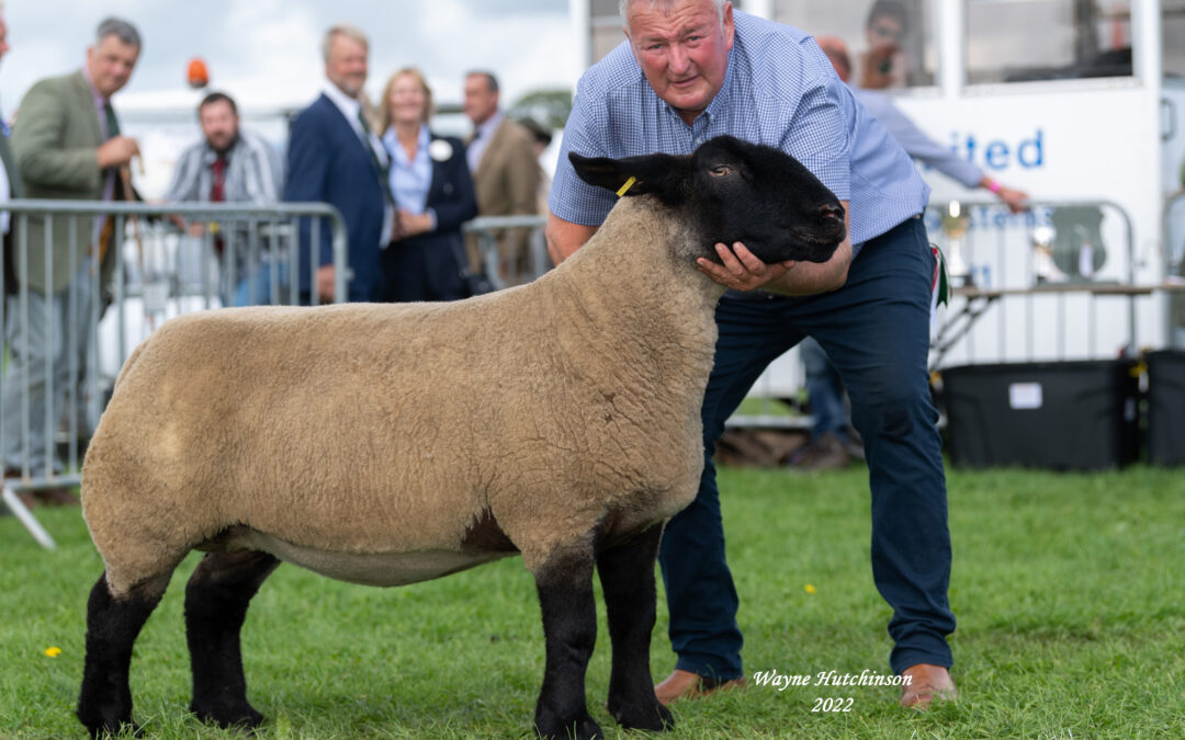 Westmorland County Show 2022