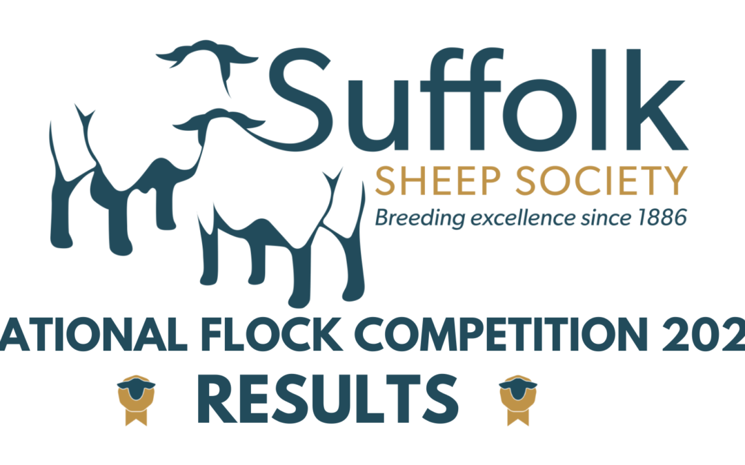 National Flock Competition – 2022