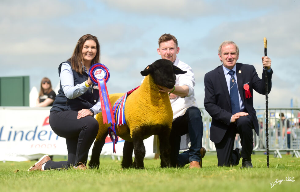 Royal Ulster Show - Balmoral 2023 - Suffolk Sheep Society