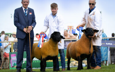 Royal Highland Show 2023