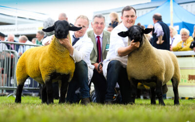 Royal Welsh Agricultural Show –  2023