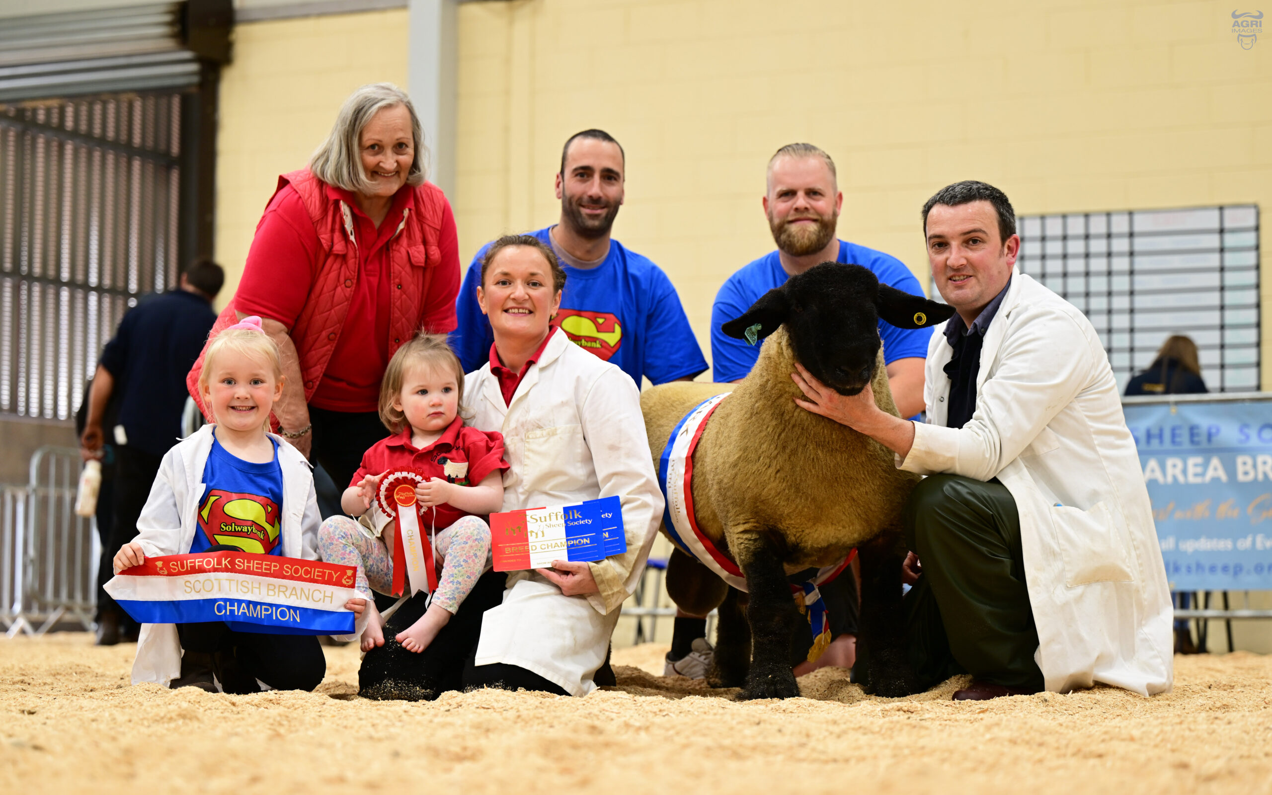 Scottish Area Branch Show and Sale Lanark 2023 Suffolk Sheep Society