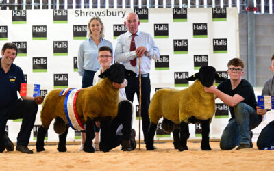 The National Show and Sale – Shrewsbury 2023