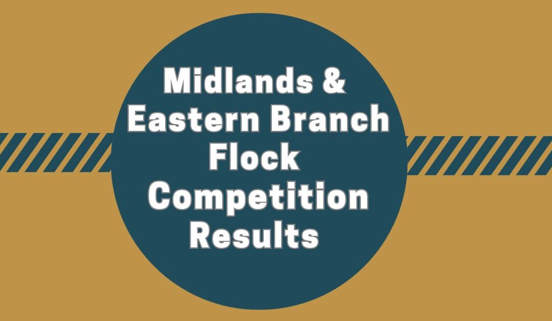 Midland & Eastern Area Branch Flock Competition 2023