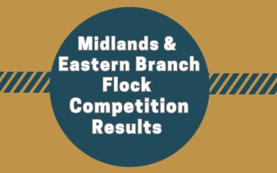 Midland & Eastern Area Branch Flock Competition 2023