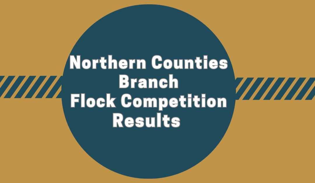 Northern Counties Branch Flock Competition Results 2023