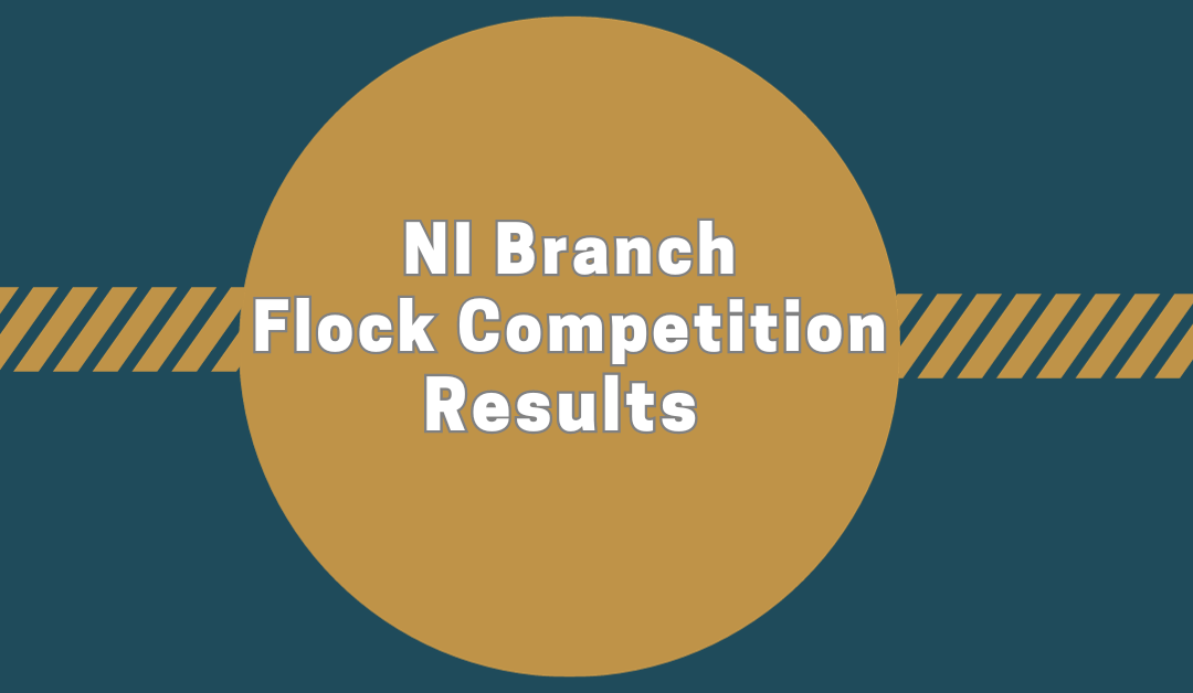 Northern Ireland Branch Flock Competition 2023