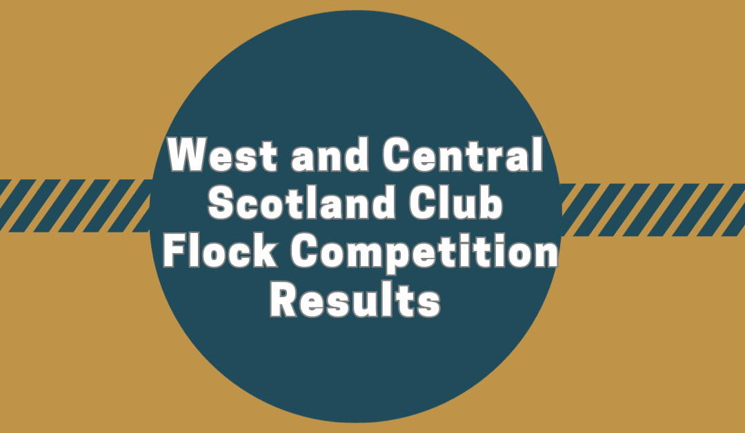 West and Central Scotland Club Flock Competition 2023
