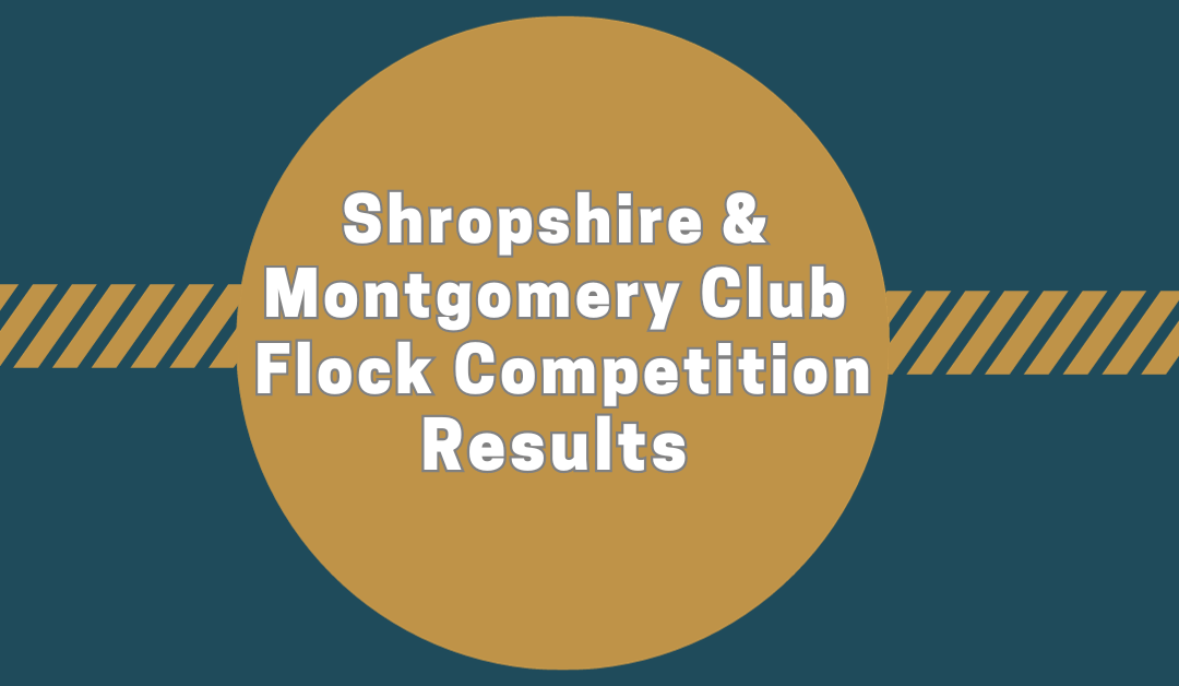 Shropshire & Montgomery Club Flock Competition 2023