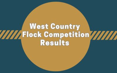 West Country Club Flock Competition 2023