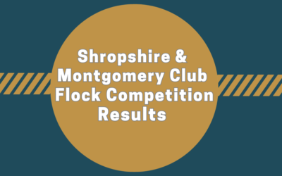 Shropshire & Montgomery Club Flock Competition 2023