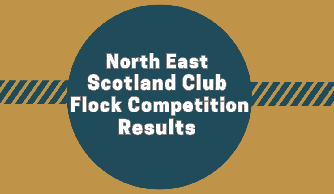 North East Scotland Club Flock Competition 2023