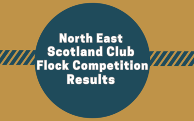 North East Scotland Club Flock Competition 2023