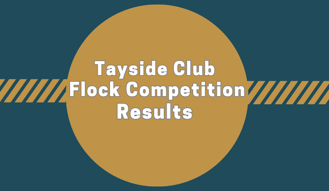 Tayside Club Flock Competition 2023