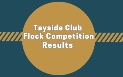 Tayside Club Flock Competition 2023