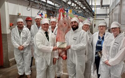 East Anglian SSC Carcass Competition 2024
