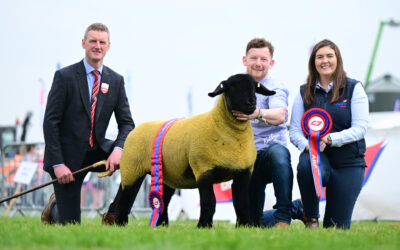 Royal Ulster Show – Balmoral 2024