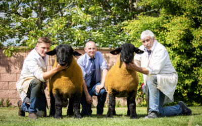 Western Area Branch Welsh National Show 2025