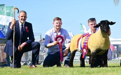 Royal Ulster Show – Balmoral 2025