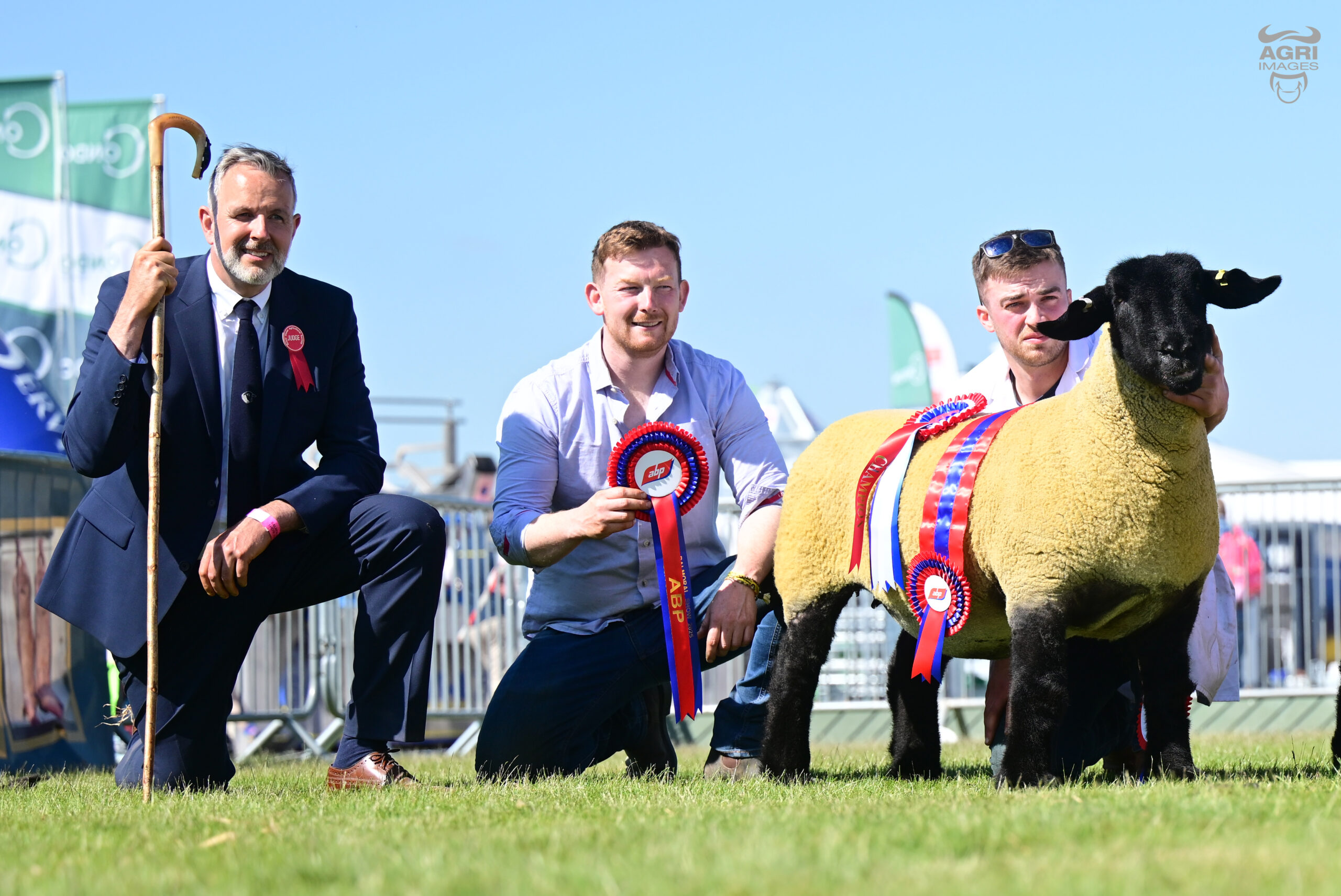 Suffolk Sheep Society Events - Suffolk Sheep Society