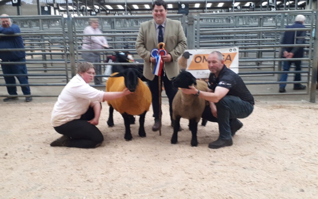 West & Central Scotland Club Show 2025