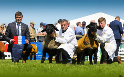 Royal Highland Show –  2025