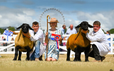 Great Yorkshire Show 2025