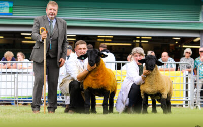 Royal Welsh Show 2025
