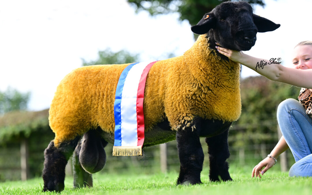 90th Scottish Area Branch Show and Sale – Lanark 2025