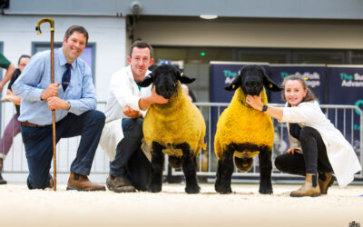 Carlisle & Northern Counties of England Branch Show & Sale 2025