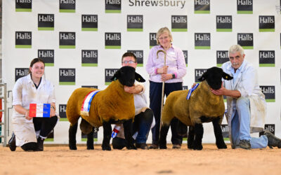 The National Show and Sale – Shrewsbury 2025